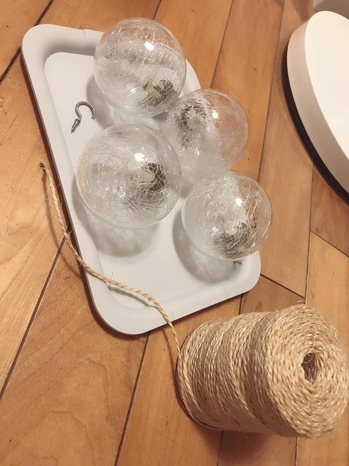 圖片提供_魚丸 圖片提供_魚丸